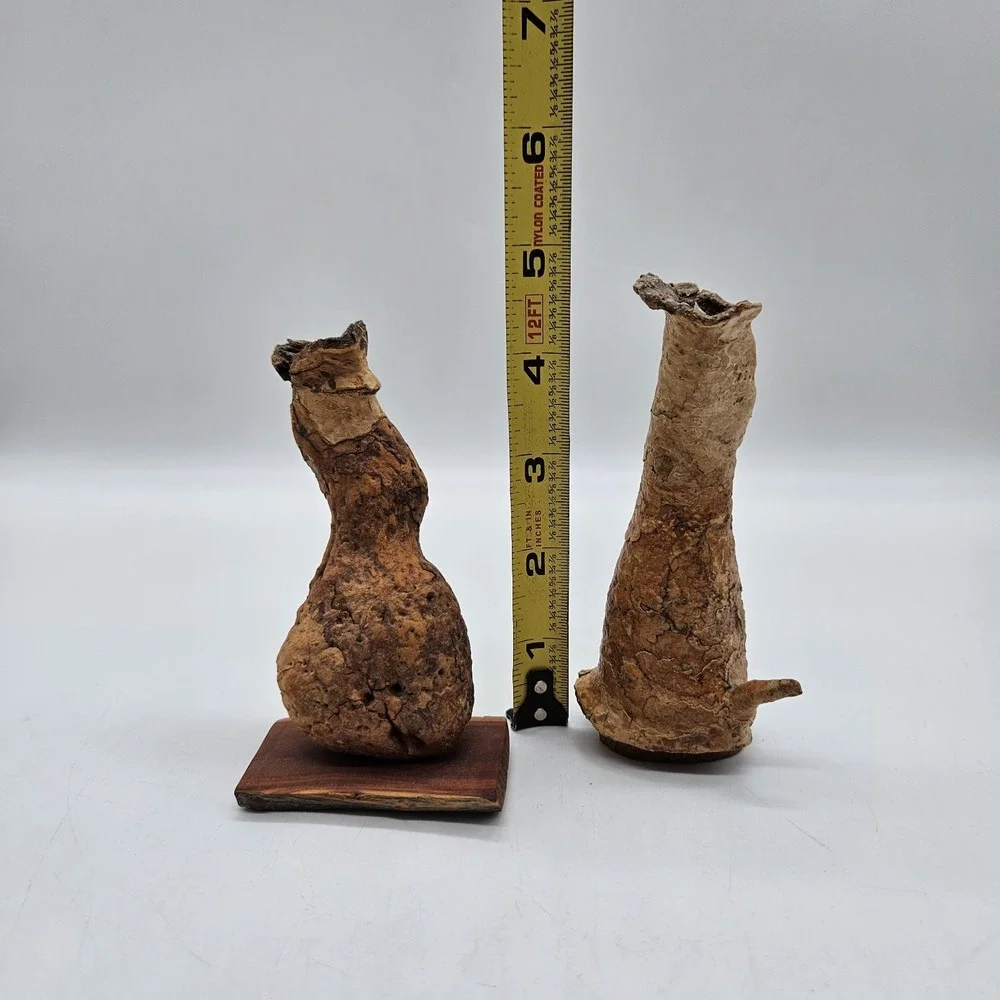 Southwestern Natural Arizona Saguaro Cactus Skeleton Bud Vases Lot of 2